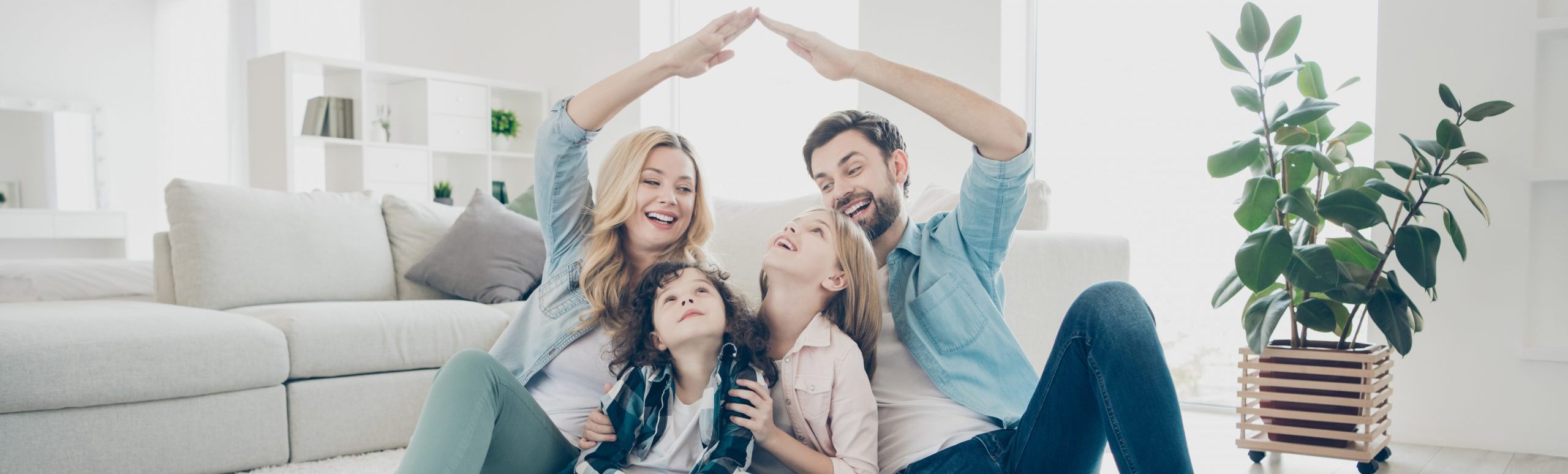 Basis Home Loans mission statement